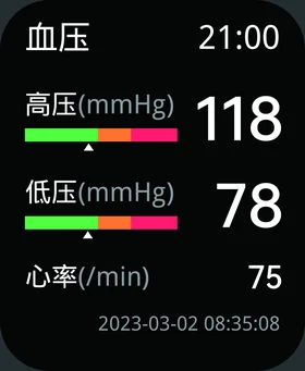 查看记录,手表界面示例